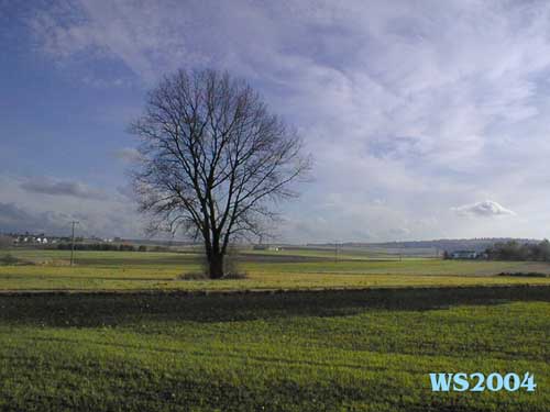 MG1: Abbildung 2: Original fertig bearbeitet